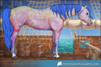 Horse Color:Watercolor Grullo Ice  and Watercolor Grullo Ice 