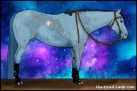 Horse Color:ERROR: UNKNOWN ANOMALY and ERROR: UNKNOWN ANOMALY