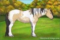 Horse Color:Buckskin Dun Tobiano and Buckskin Dun Tobiano