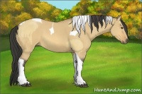 Horse Color:Buckskin Dun Tobiano and Buckskin Dun Tobiano
