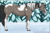 Horse Color:Grullo Splash Tobiano and Grullo Splash Tobiano