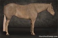 Horse Color:Chocolate Palomino  Brindle