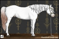Horse Color:Brown Dun Appaloosa  and Brown Dun Appaloosa 