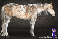 Horse Color:Chocolate Palomino Pearl Dun Tobiano Brindle  and Buckskin Sabino 