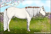 Horse Color:Silver Perlino Dun 