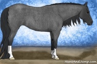 Horse Color:Blue Roan 