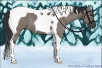 Horse Color:Grullo Tobiano