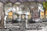 Horse Color:White Spotted Liver Chestnut Ice Sabino Splash 