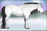 Horse Color:Brown Chinchilla Ice