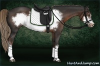 Horse Color:Liver Chestnut Frame