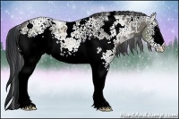 Horse Color:White Spotted Grullo Ice 