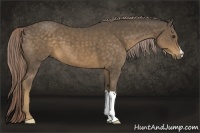Horse Color:Chocolate Palomino