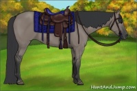 Horse Color:Grullo Rabicano 