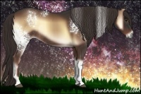 Horse Color:White Spotted Liver Red Onyx Rabicano 