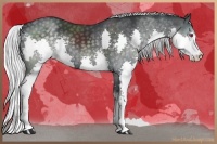 Horse Color:Silver Black Chinchilla Splash