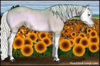 Horse Color:Watercolor Silver Bay Roan Onyx Splash