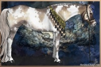 Horse Color:White Spotted Silver Blue Onyx