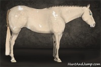 Horse Color:White Spotted Chocolate Perlino 