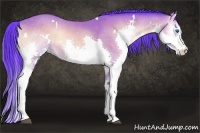 Horse Color:Watercolor White Spotted Buckskin Onyx Splash Rabicano