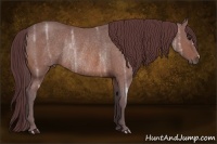 Horse Color:Chocolate Bay Ice Rabicano