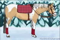 Horse Color:Bay Dun Splash Tobiano