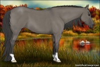 Horse Color:Smoky Grullo Roan 