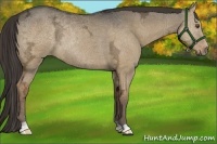 Horse Color:Liver Red Dun Ice