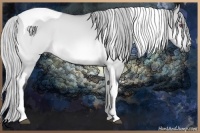 Horse Color:Silver Bay Chinchilla Dun Tobiano 