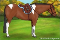 Horse Color:Bay Tobiano 