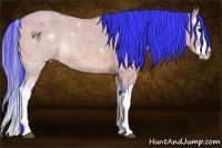 Horse Color:Watercolor Bay Dun Splash