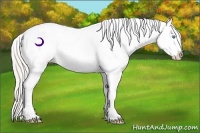Horse Color:Chocolate Palomino Pearl Near Fewspot 