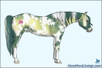 Horse Color:Watercolor White Spotted Blue Onyx