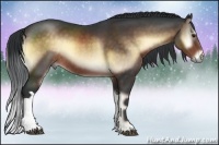 Horse Color:Brown Onyx