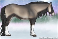 Horse Color:Blue Onyx