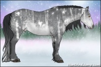 Horse Color:White Spotted Brown Chinchilla Ice Rabicano 
