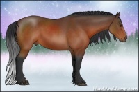Horse Color:Brown Rabicano 