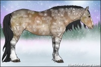 Horse Color:Bay Ice Sabino Rabicano 