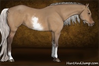 Horse Color:White Spotted Silver Bay Dun