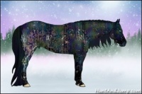 Horse Color:ERROR: UNKNOWN ANOMALY and ERROR: UNKNOWN ANOMALY