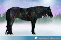 Horse Color:ERROR: UNKNOWN ANOMALY and ERROR: UNKNOWN ANOMALY