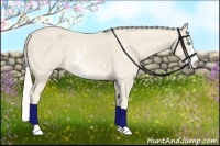 Horse Color:Cremello Sabino  and Cremello Sabino 