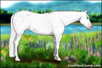 Horse Color:Gray Silver Amber Cream Champagne Roan Dun Splash Tobiano Frame Appaloosa Rabicano 