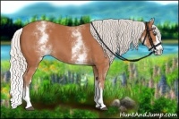 Horse Color:White Spotted Silver Bay Splash 