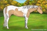 Horse Color:Silver Buckskin Tobiano 