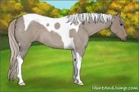 Horse Color:Silver Grullo Roan Tobiano 