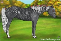 Horse Color:Silver Black Chinchilla Sabino 