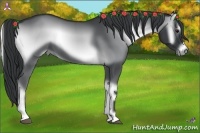 Horse Color:Blue Onyx Chinchilla