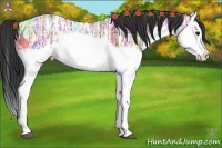 Horse Color:Bay Ice Splash 