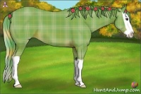 Horse Color:Watercolor Plaid Chestnut Splash