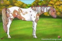 Horse Color:Nacre White Spotted Chestnut Tobiano